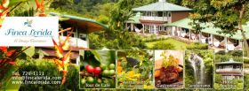 Finca Lerida restaurant in Boquete, Panama – Best Places In The World To Retire – International Living